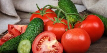 Україна у 2025 р наростила імпорт томатів на третину, огірків – на 46,3% – ЭКОНОМИКА