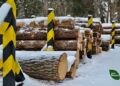 ДП «Ліси України» запустило форвардні торги й законтрактувало 100% лісопродукції — Новини Черкащіни