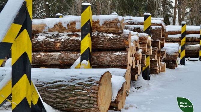 ДП «Ліси України» запустило форвардні торги й законтрактувало 100% лісопродукції — Новини Черкащіни