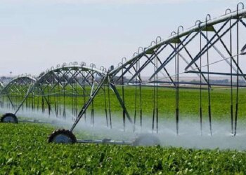 Україна та США посилюють співпрацю у сфері меліорації – ЭКОНОМИКА