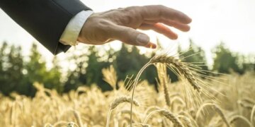 Уряд запускає державну підтримку страхування агропродукції – ЭКОНОМИКА