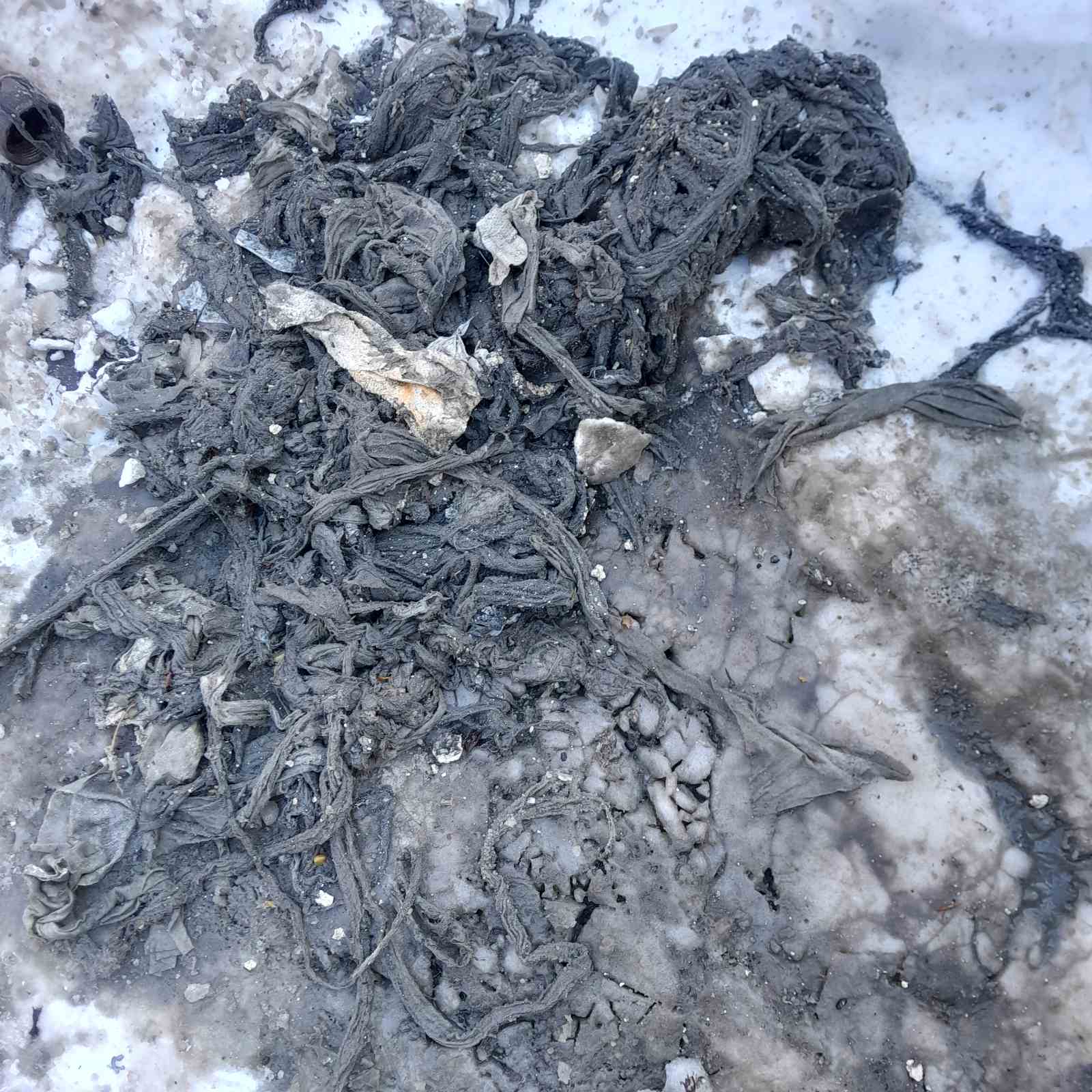 Фото з місця події