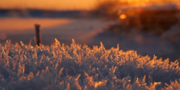 Морози слабшають: якою буде погода на Черкащині до кінця тижня