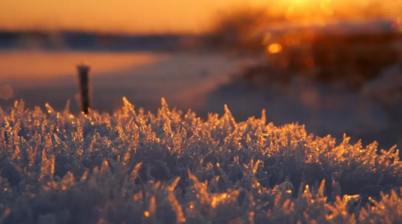 Морози слабшають: якою буде погода на Черкащині до кінця тижня