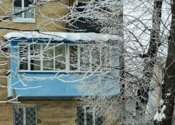 Морозні вихідні: прогноз погоди для Житомира та області | Журнал Житомира