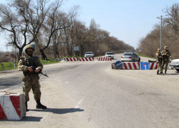 На блокпосту під Запоріжжям військові та поліція затримали чоловіка з гранатами – подробиці | Новости Запорожья