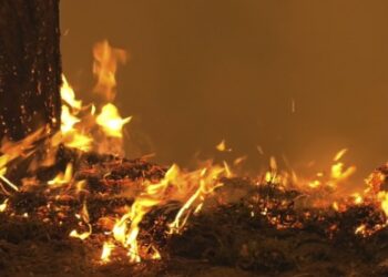 На Черкащині від початку року сталося понад 160 пожеж