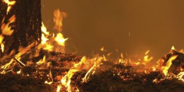 На Черкащині від початку року сталося понад 160 пожеж