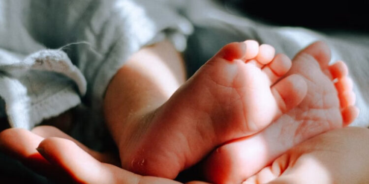 На Івано-Франківщині смертність удвічі перевищила народжуваність