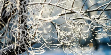 На Прикарпатті очікують різке похолодання: прогнозують морози до –25°