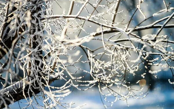 На Прикарпатті очікують різке похолодання: прогнозують морози до –25°