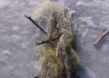 На Уманщині екоінспектори вилучили понад 240 знарядь незаконного вилову риби