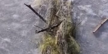 На Уманщині екоінспектори вилучили понад 240 знарядь незаконного вилову риби