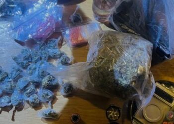 Новорічний настрій: у Києві іноземець прикрасив ялинку наркотиками – заборонені речовини він не ховав