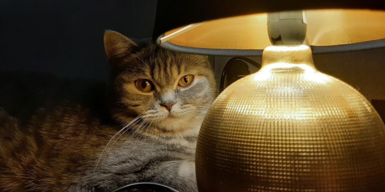 Оновили графік погодинних відключень на зиму – ПОЛТАВА СЬОГОДНІ