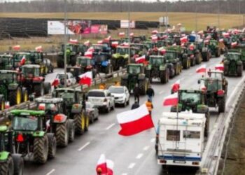 Польські фермери блокуватимуть пункт пропуску на Львівщині