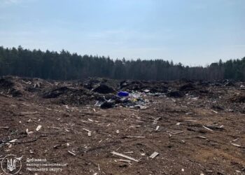 Понад 1,6 млн грн збитків: екоінспекція та прокуратура вимагають відшкодування за забруднення земель | Журнал Житомира