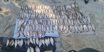 Понад 280 тисяч гривень збитків: жителя Черкаського району судитимуть за незаконний вилов риби