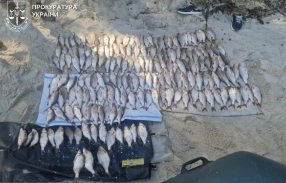 Понад 280 тисяч гривень збитків: жителя Черкаського району судитимуть за незаконний вилов риби