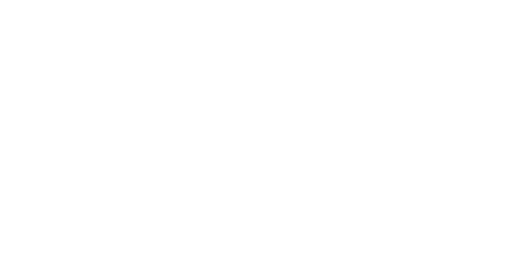 Последний сезон для Трубина. Летом 2026 он попрощается с «Бенфикой»