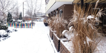 Прогноз погоди у Запоріжжі на вихідні 17–18 січня – морози, невеликий сніг та ожеледиця | Новости Запорожья