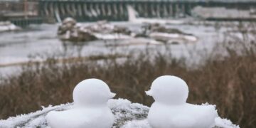 Прогноз погоди Запоріжжя 12, 13, 14 січня 2026 року | Новости Запорожья