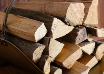 Скільки коштує один куб дров у січні 2026 р – Экономика