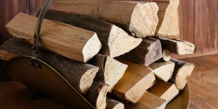 Скільки коштує один куб дров у січні 2026 р – Экономика