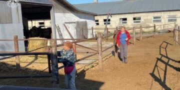 Слідчі скерували до суду справу рабоволодіння на Одещині :: Інтент :: Суспільно-політичне видання:: Регіональна мережа якісної журналістики