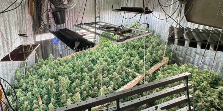 Справу міжрегіонального наркоугруповання з центром у Полонному скеровано до суду —Хмельнитчина