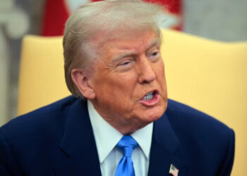 Трамп запросив 49 країн у Раду миру, Україна запрошена, але думає (список запрошених країн)