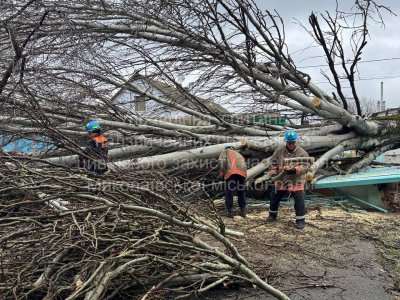 У Миколаєві ліквідовують наслідки негоди: вже прибрали 9 повалених дерев » Миколаївський Оглядач