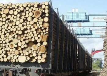 В Одесі викрили контрабанду лісу через підробку документів :: Інтент :: Суспільно-політичне видання:: Регіональна мережа якісної журналістики