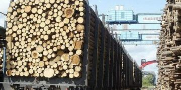 В Одесі викрили контрабанду лісу через підробку документів :: Інтент :: Суспільно-політичне видання:: Регіональна мережа якісної журналістики