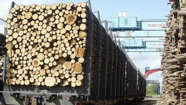 В Одесі викрили контрабанду лісу через підробку документів :: Інтент :: Суспільно-політичне видання:: Регіональна мережа якісної журналістики