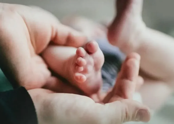 Виплати родинам із дітьми: що потрібно знати полтавцям – ПОЛТАВА СЬОГОДНІ