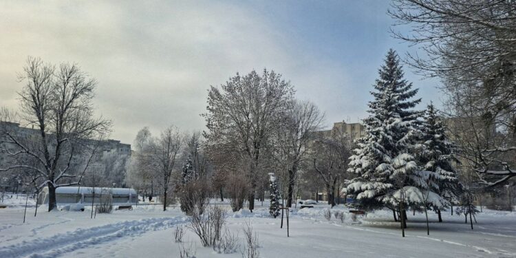 Зима продовжує домінувати: якою буде погода в Житомирській області 19-25 січня | Журнал Житомира
