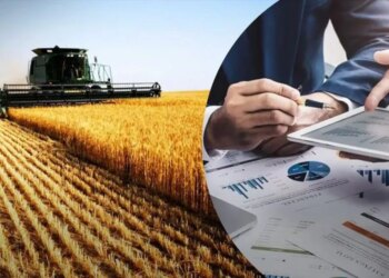 Мікро- та малі агропідприємства запрошують до участі в грантовому проєкті SEED 5.0 – ЭКОНОМИКА