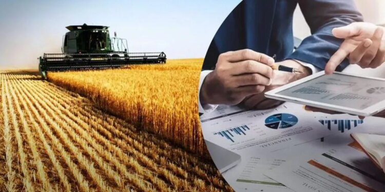 Мікро- та малі агропідприємства запрошують до участі в грантовому проєкті SEED 5.0 – ЭКОНОМИКА