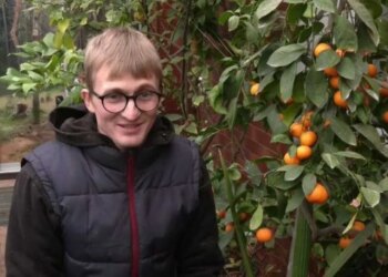 На Хмельниччині садівник вирощує на власній веранді екзотичні фрукти – ЭКОНОМИКА