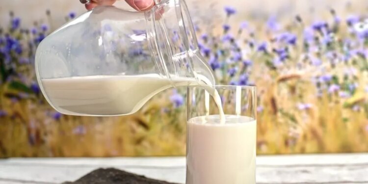 Закупівельні ціни на молоко падають до критичної позначки – ЭКОНОМИКА