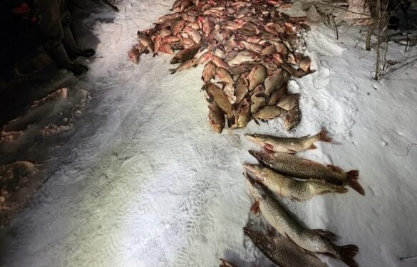 Черкаський водний патруль викрив браконьєрів із уловом на понад 2 мільйони