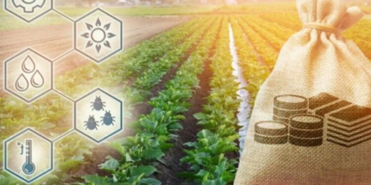 На підтримку аграріїв Львівщини на цей рік передбачили 22 млн грн – ЭКОНОМИКА