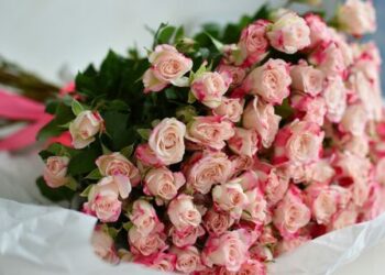 До 400 гривень за квітку і дорожче: скільки в Києві коштують букети на День закоханих