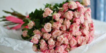 До 400 гривень за квітку і дорожче: скільки в Києві коштують букети на День закоханих