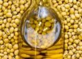 Соєва олія в Європі подорожчала до €1135 – ЭКОНОМИКА
