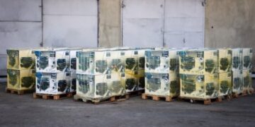 Миколаїв отримав 50 генераторів від партнерів » Миколаївський Оглядач