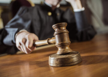 На Івано-Франківщині у державну власність повернули 29 гектарів лісу