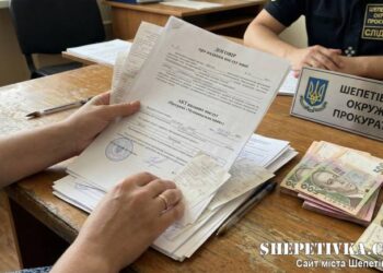 На Шепетівщині судитимуть жінку, яка «заробила» понад 360 тисяч гривень на фейковій няні —Хмельнитчина