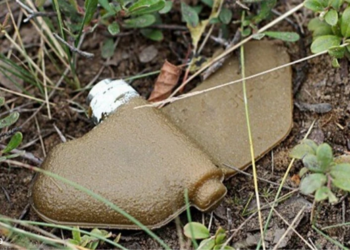 Польща виходить із конвенції про заборону протипіхотних мін і готується їх виробляти – Экономика